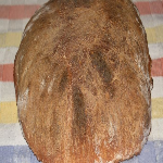 Imagem do pão