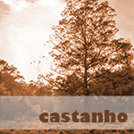 fotografia castanha