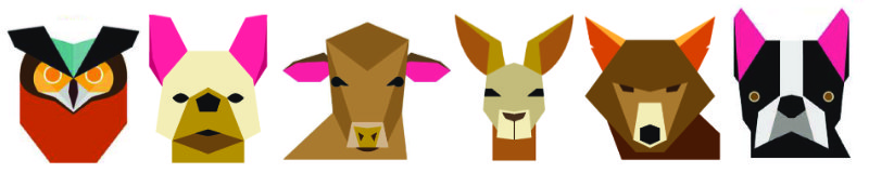 focinhos de animais