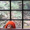 fotografia